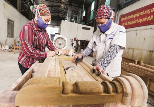 Hiệu quả lớn từ vốn vay ưu đãi nơi vùng chiêm trũng