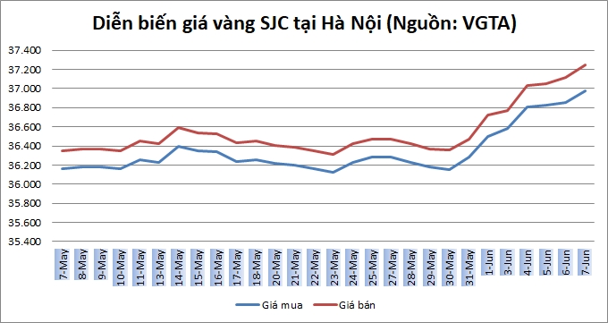 Thị trường vàng 7/6: Giữ vững đà tăng giá