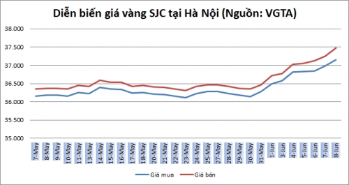 Thị trường vàng 8/6: Vàng thế giới lên đỉnh 14 tháng