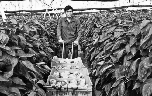 Doanh nghiệp khởi nghiệp nông nghiệp: Phải xác định sẽ đi đường dài