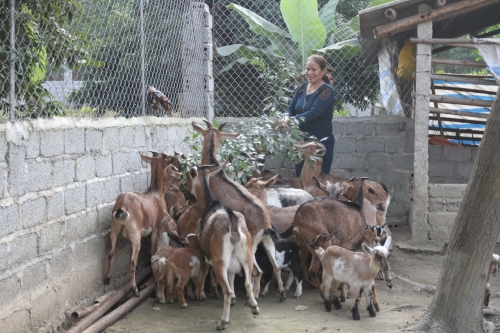 Agribank: Nâng cao năng lực tài chính để tăng khả năng cung ứng vốn cho nền kinh tế Agribank: Nâng cao năng lực tài chính để tăng khả năng cung ứng vốn cho nền kinh tế