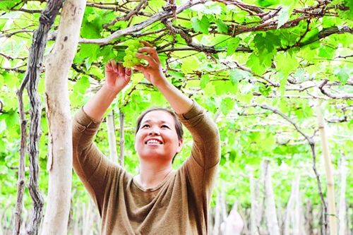 Đồng vốn nhân văn nơi miền cát trắng