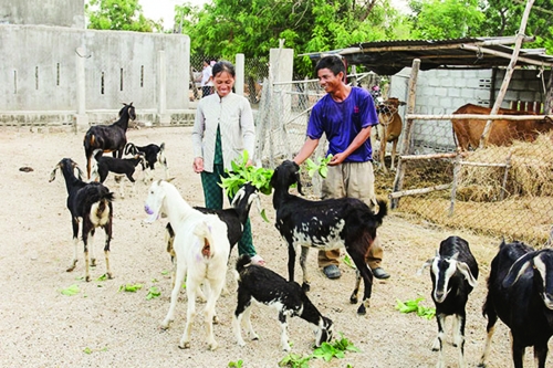 Đồng vốn nhân văn nơi miền cát trắng