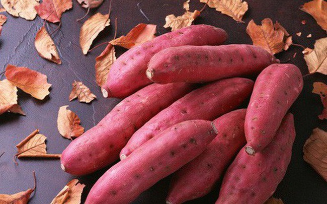 Những mầm khoai tuổi thơ…