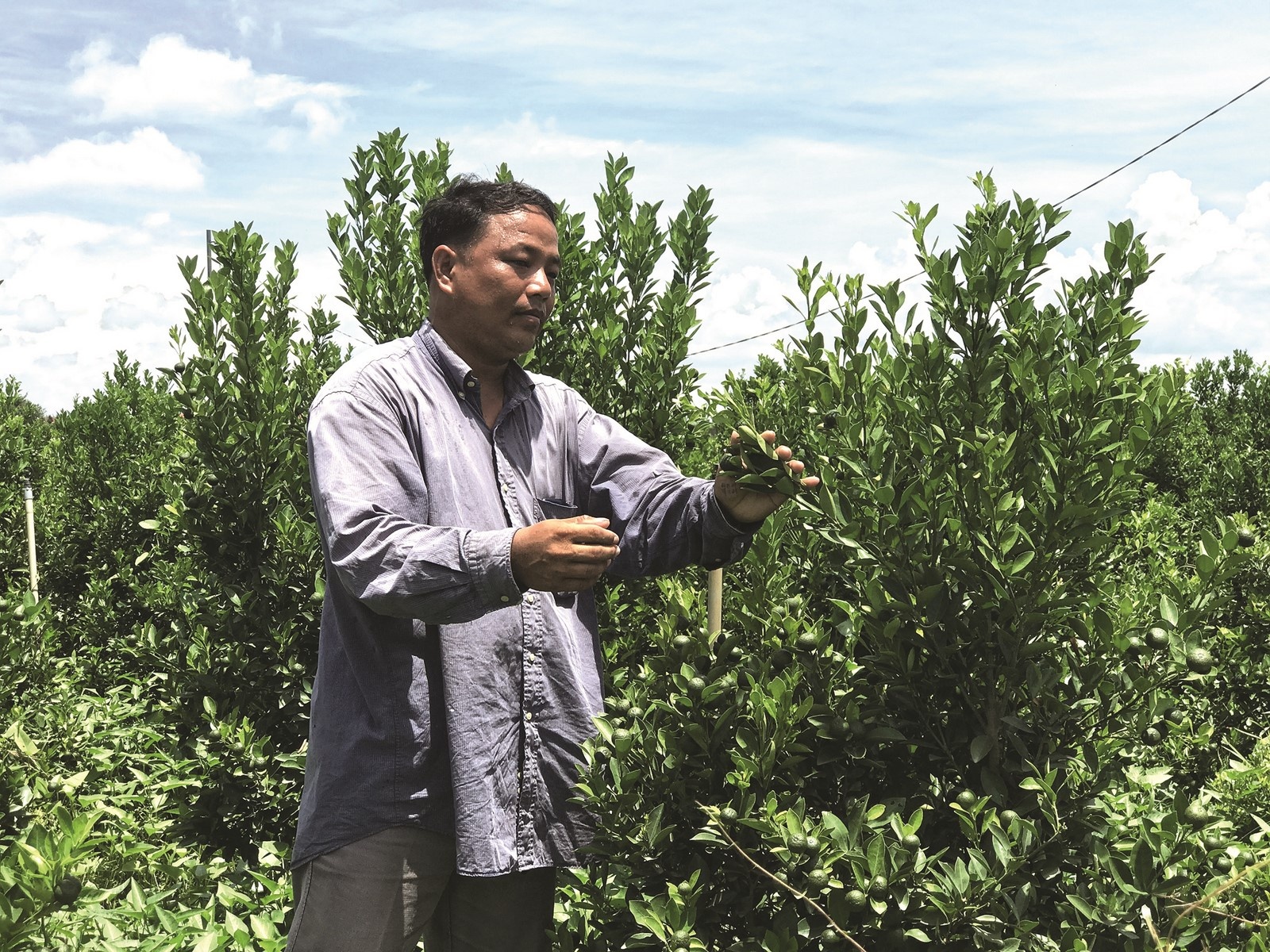 Đổi đời từ vốn vay ngân hàng