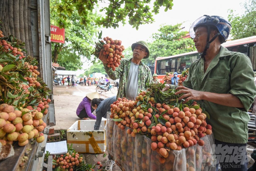 ngan hang tham gia cuu gia nong san