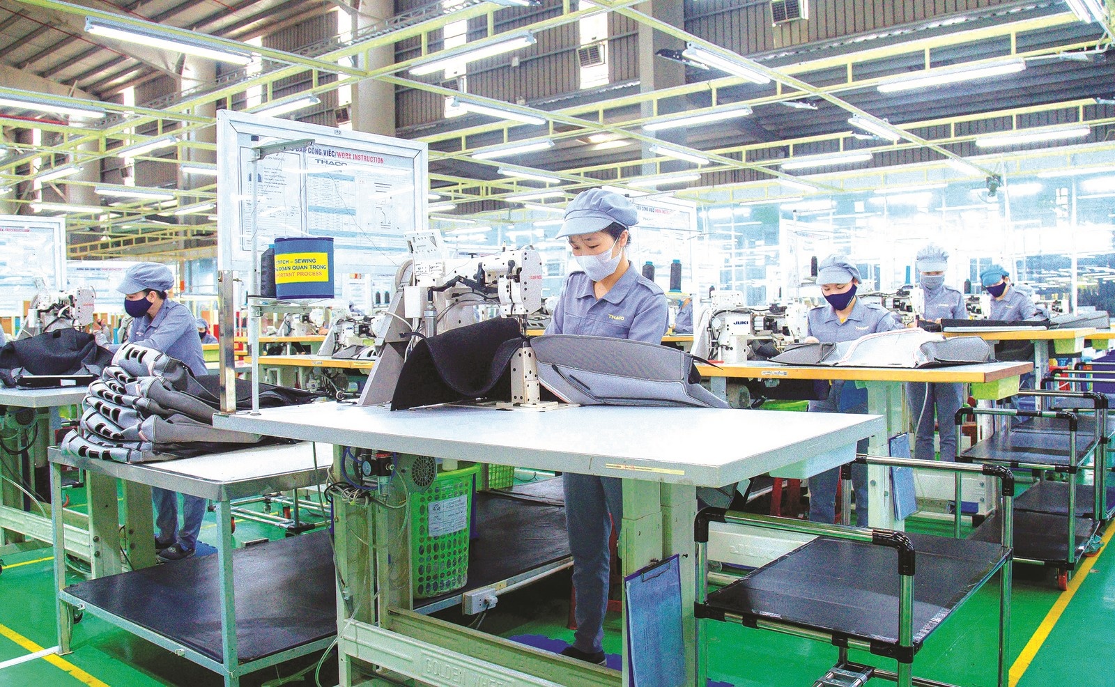 duy tri tang truong giua bao dich