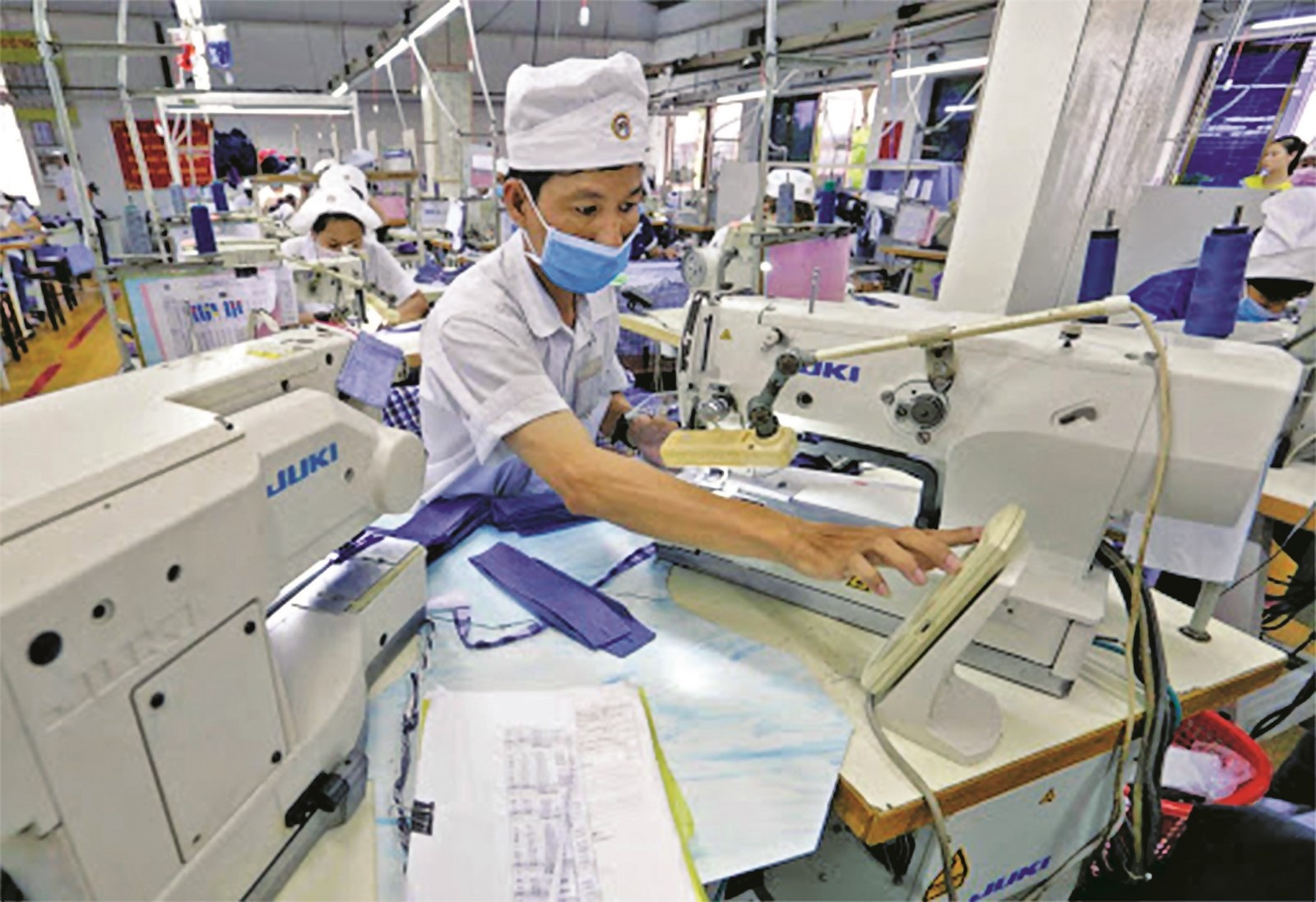 vaccine khong la cay dua than cho tang truong