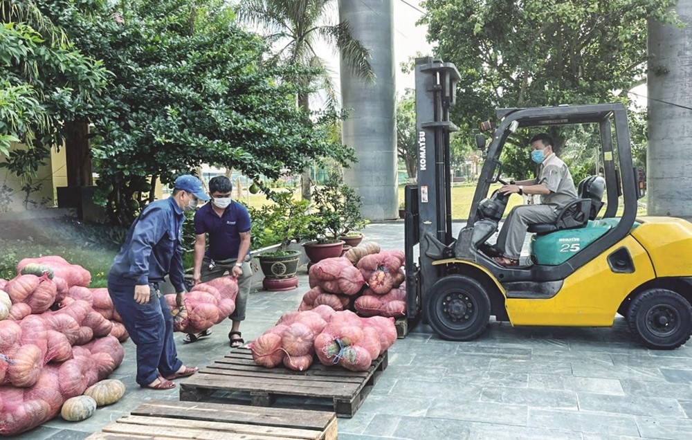 bi do dang bi dau ra