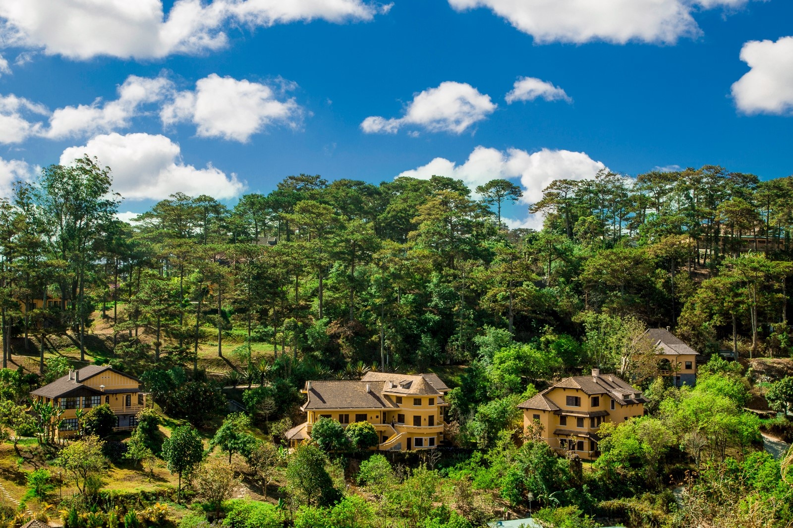 ninh van bay tap trung dau tu cac khu nghi duong sieu sang tai viet nam