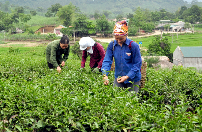 giam ngheo ben vung can cach tiep can moi