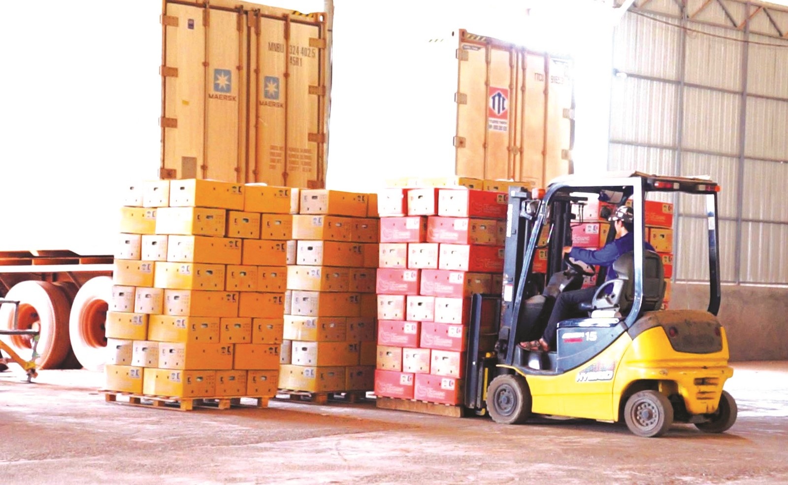 thuc day hop tac voi thi truong eu