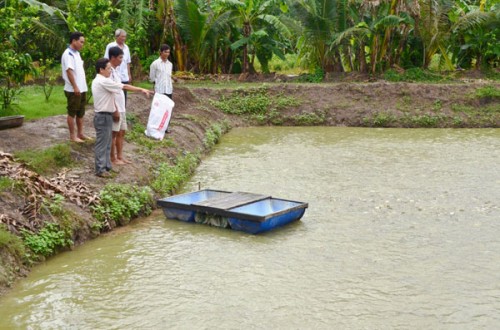 Vốn vay ưu đãi giúp người nghèo ở Hậu Giang thoát nghèo Vốn vay ưu đãi giúp người nghèo ở Hậu Giang thoát nghèo