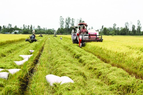 Phát huy tối đa các thế mạnh vùng Phát huy tối đa các thế mạnh vùng