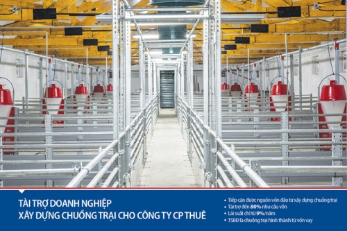 Viet Capital Bank hỗ trợ doanh nghiệp ngành chăn nuôi