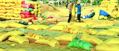 Vốn sẽ tiếp tục chảy mạnh vào vựa lúa