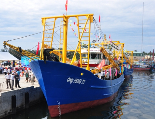 Nghiên cứu gia hạn nợ, ân hạn cho tàu cá vỏ thép nằm bờ do hư hỏng