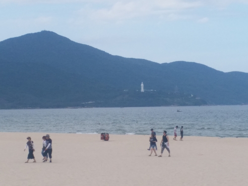 Tắm biển Đà Nẵng bị mẩn ngứa có thể do sứa