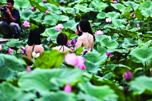 Lúng túng xử lý hành vi phản cảm nơi công cộng Lúng túng xử lý hành vi phản cảm nơi công cộng