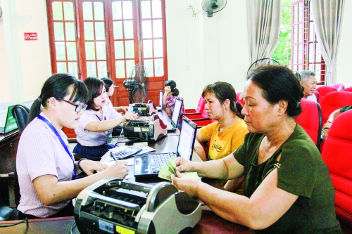 Có vốn ưu đãi, vườn cây ăn trái thêm hiệu quả