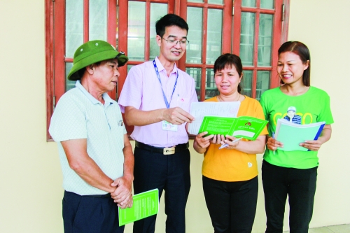 Có vốn ưu đãi, vườn cây ăn trái thêm hiệu quả