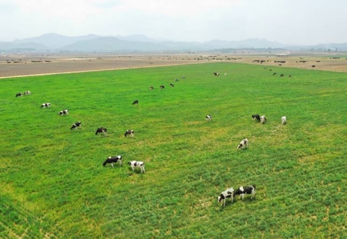 Vinamilk nằm trong Top 50 công ty quyền lực nhất châu Á