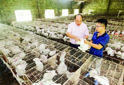 Chỉ thị số 40-CT/TW: Quyết sách đột phá trong tín dụng chính sách