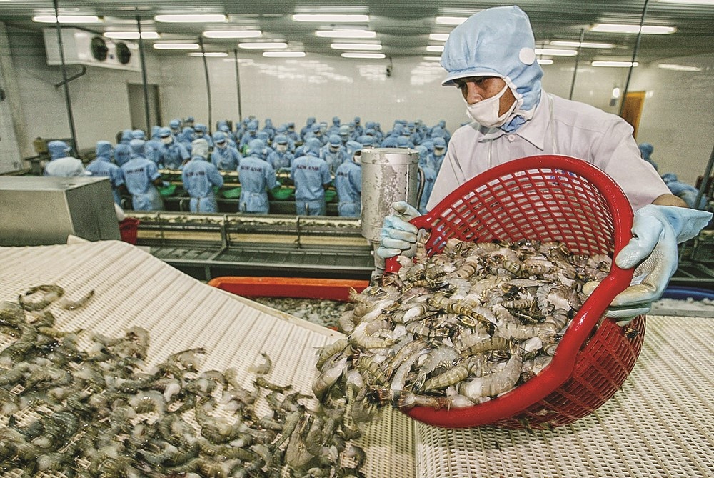 Tận dụng thị trường gần ASEAN Tận dụng thị trường gần ASEAN