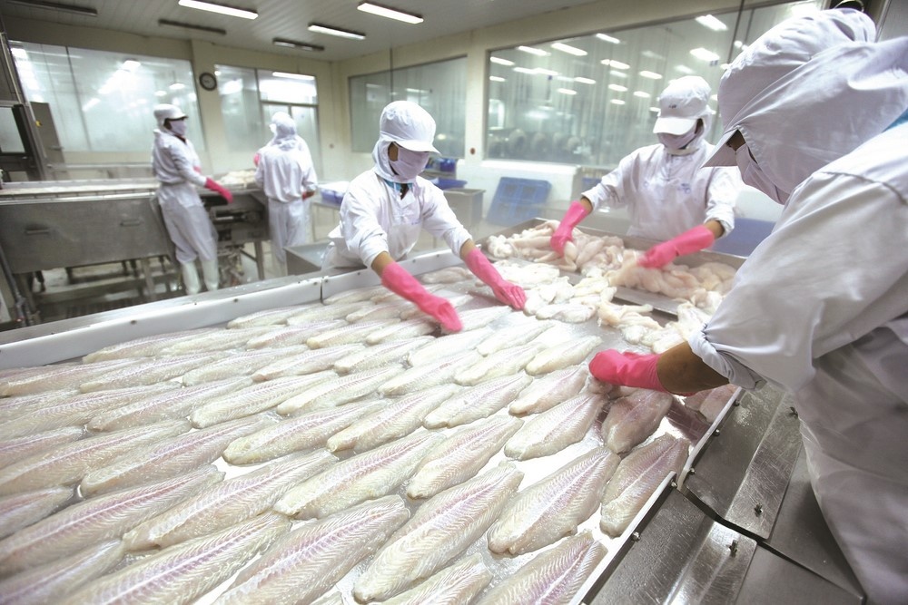 Thủy sản có “lội ngược dòng” vào thị trường EU?