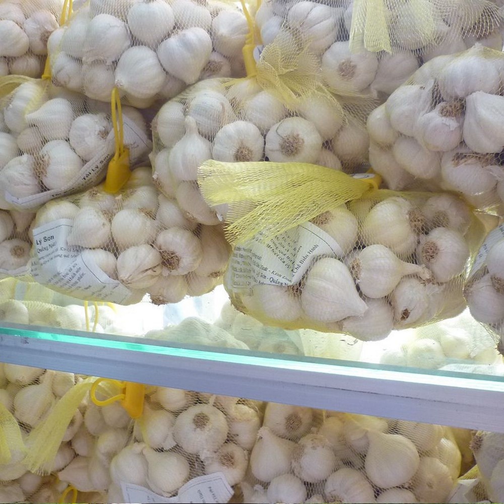 Tỏi Lý Sơn có chỉ dẫn địa lý