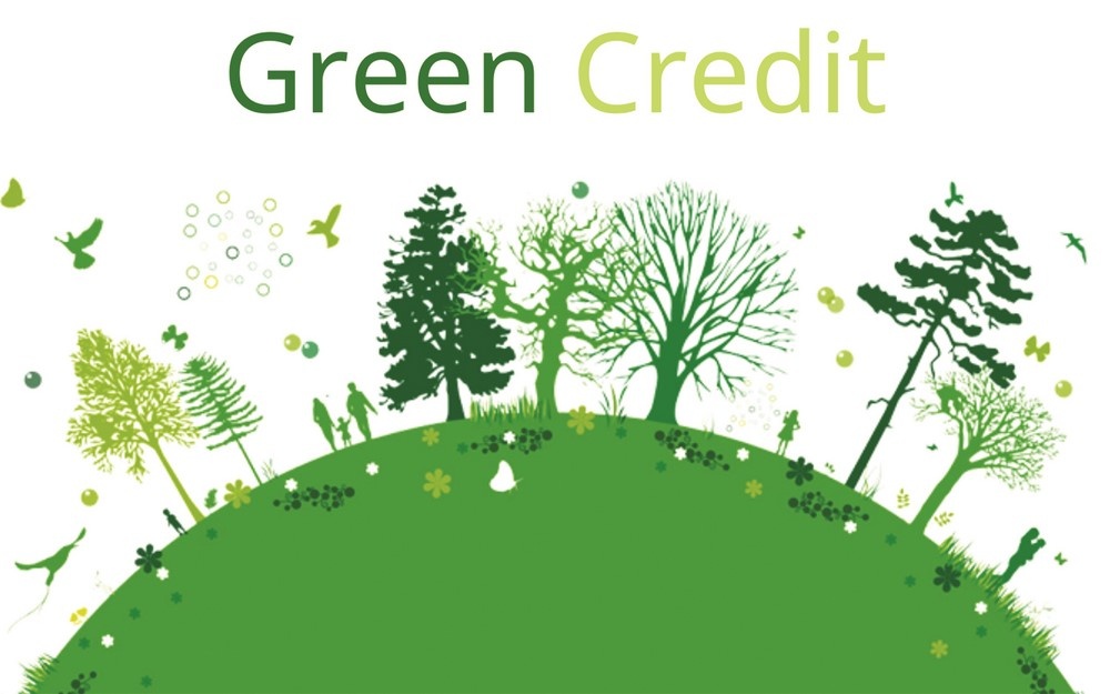 Làm gì để “khơi thông” tín dụng xanh? Làm gì để “khơi thông” tín dụng xanh?