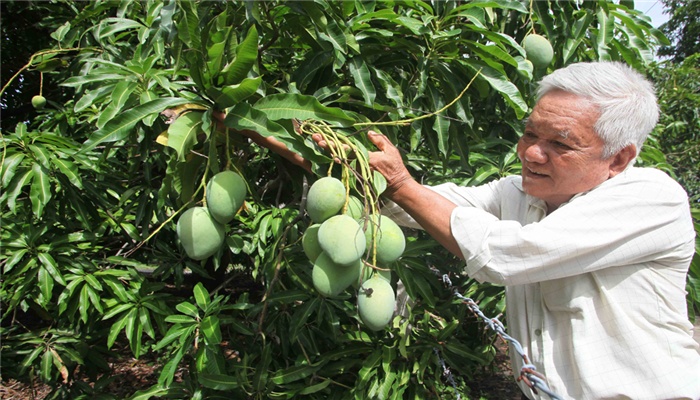 Hiệu quả của tín dụng chính sách Hiệu quả của tín dụng chính sách