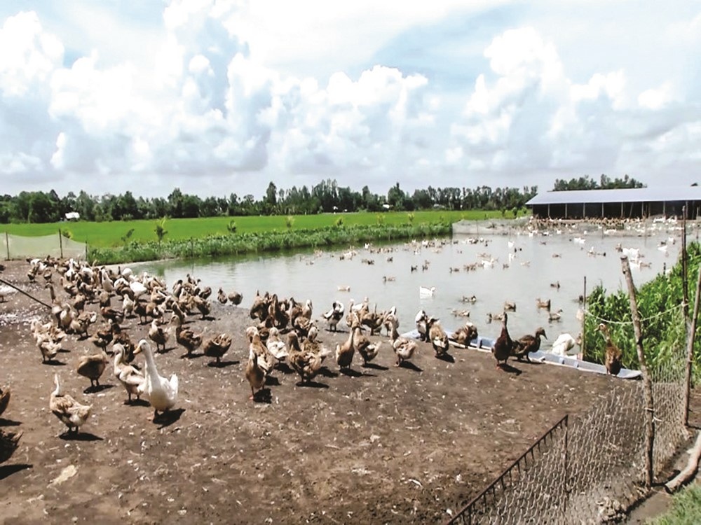 “Bà đỡ” của nhà nông