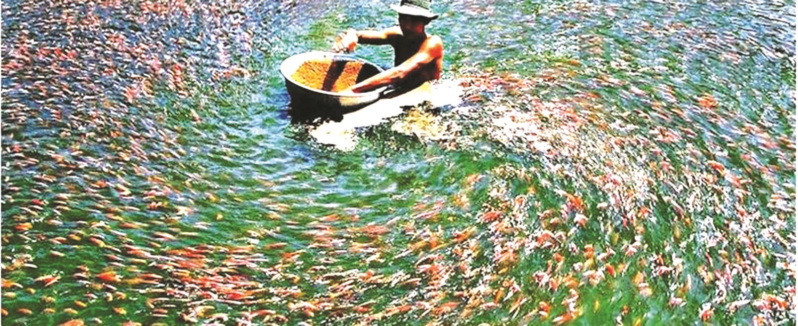 xuat khau thuy san se can dich