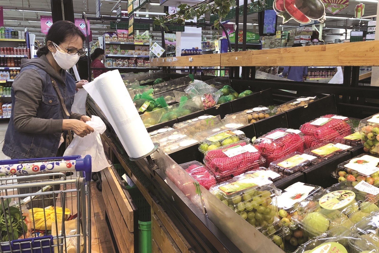 TP. Hồ Chí Minh: Bố trí vùng đệm để phân phối hàng hóa tp ho chi minh bo tri vung dem de phan phoi hang hoa