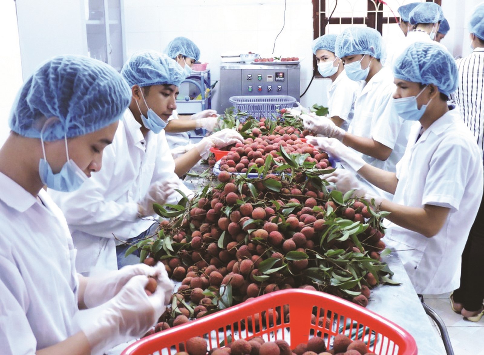 de nong san xuat khau vuot rao ky thuat