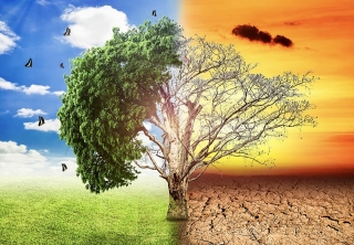 Phê duyệt Chiến lược quốc gia về biến đổi khí hậu giai đoạn đến năm 2050
