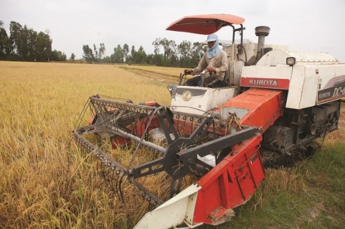 Phát triển kinh tế vùng ĐBSCL: Điểm đến hấp dẫn nhà đầu tư