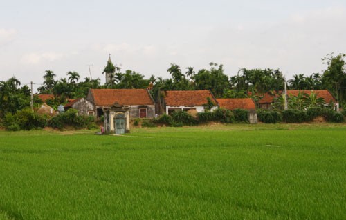 Hoàn chỉnh hồ sơ trình công nhận huyện Thanh Trì đạt chuẩn NTM