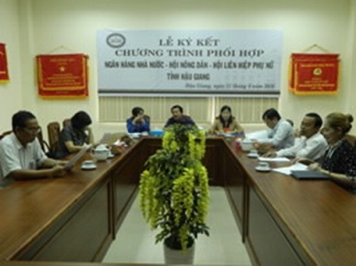 Hậu Giang: Đẩy mạnh triển khai tín dụng phục vụ phát triển nông nghiệp, nông thôn