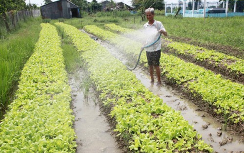 Hiệu quả tín dụng chính sách tại Sóc Trăng