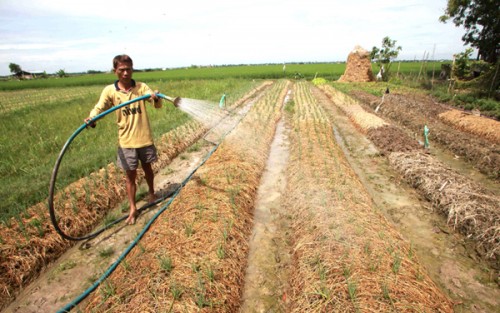 Hiệu quả tín dụng chính sách tại Sóc Trăng