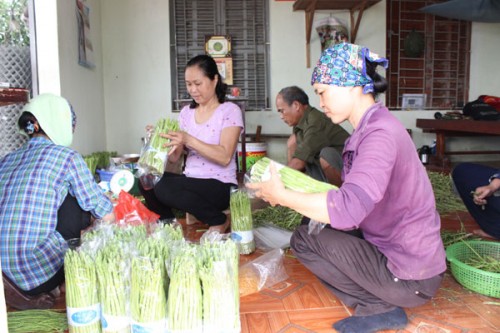 Xây dựng Nông thôn mới: Chặng nước rút nhiều cam go