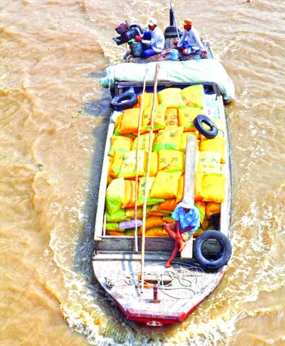 Vốn tín dụng thúc đẩy tái cơ cấu nông nghiệp