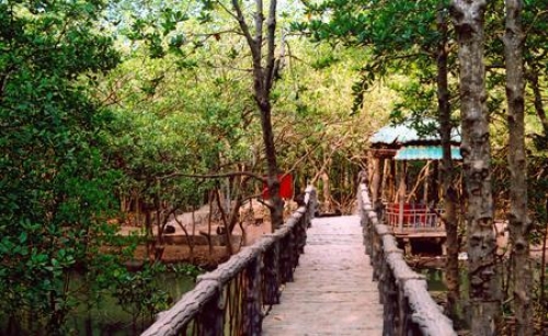 Đầu tư bất động sản sinh thái không dễ