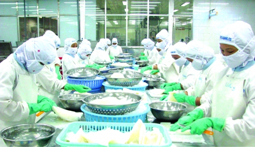 Cạnh tranh thu mua nguyên liệu