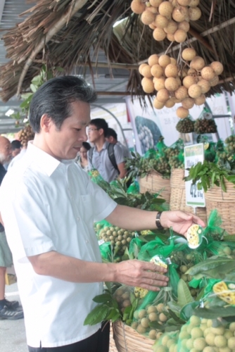 Đang diễn ra tuần lễ nhãn lồng Hưng Yên tại Hà Nội năm 2017