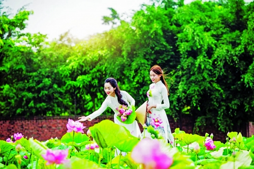 Nông thôn và văn học nghệ thuật Nông thôn và văn học nghệ thuật