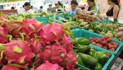 Để khai thác tốt tiềm năng thị trường EU