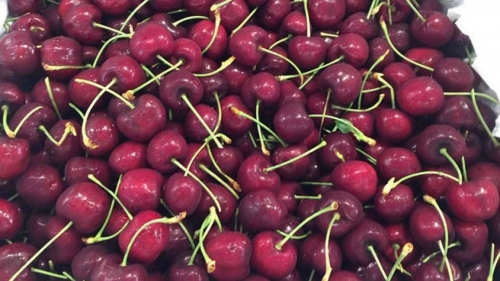 Để nâng cao sức cạnh tranh với nông sản ngoại